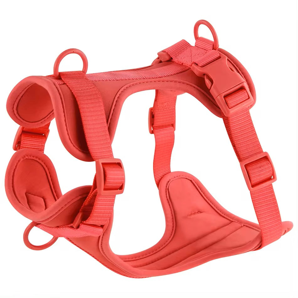 Harnais pour chien rouge, ajustable et rembourré, avec boucles de sécurité et anneaux en métal. Accessoire pour promenade canine confortable.